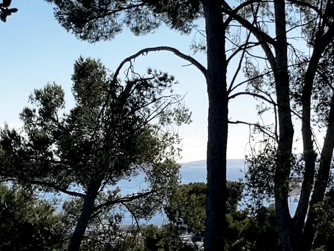 Vente Terrain à la Ciotat 0 pièce