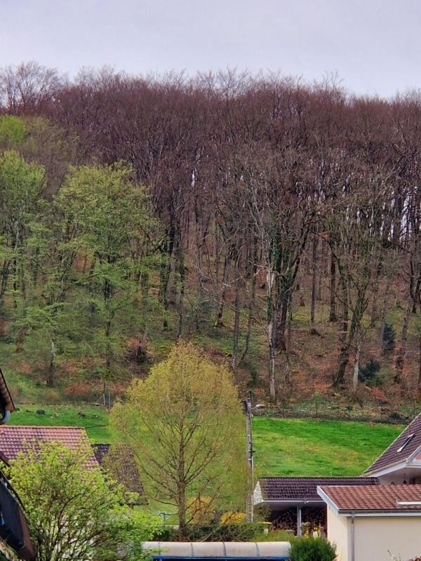 Vente Maison à Pont-de-Roide 8 pièces