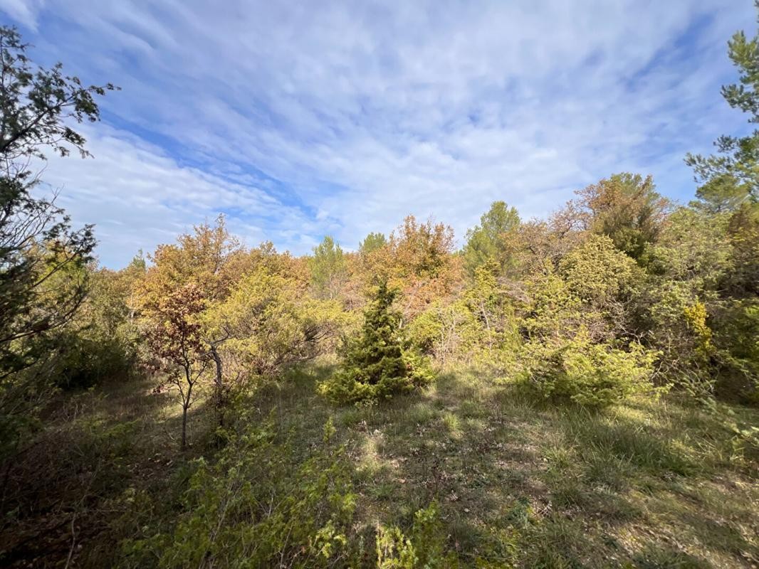 Vente Terrain à Rians 0 pièce