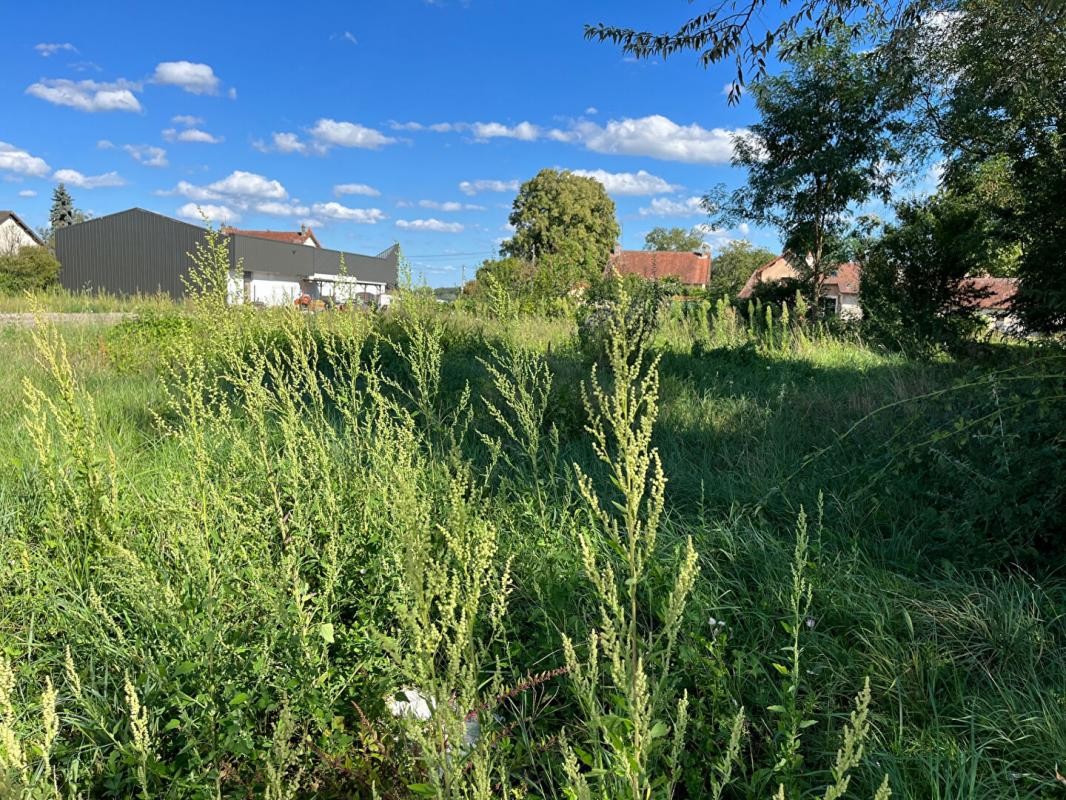 Vente Terrain à Saint-Martin-en-Bresse 0 pièce