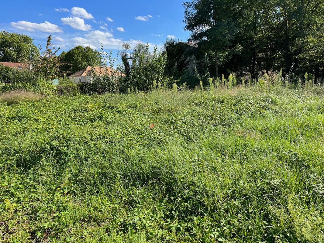 Vente Terrain à Saint-Martin-en-Bresse 0 pièce