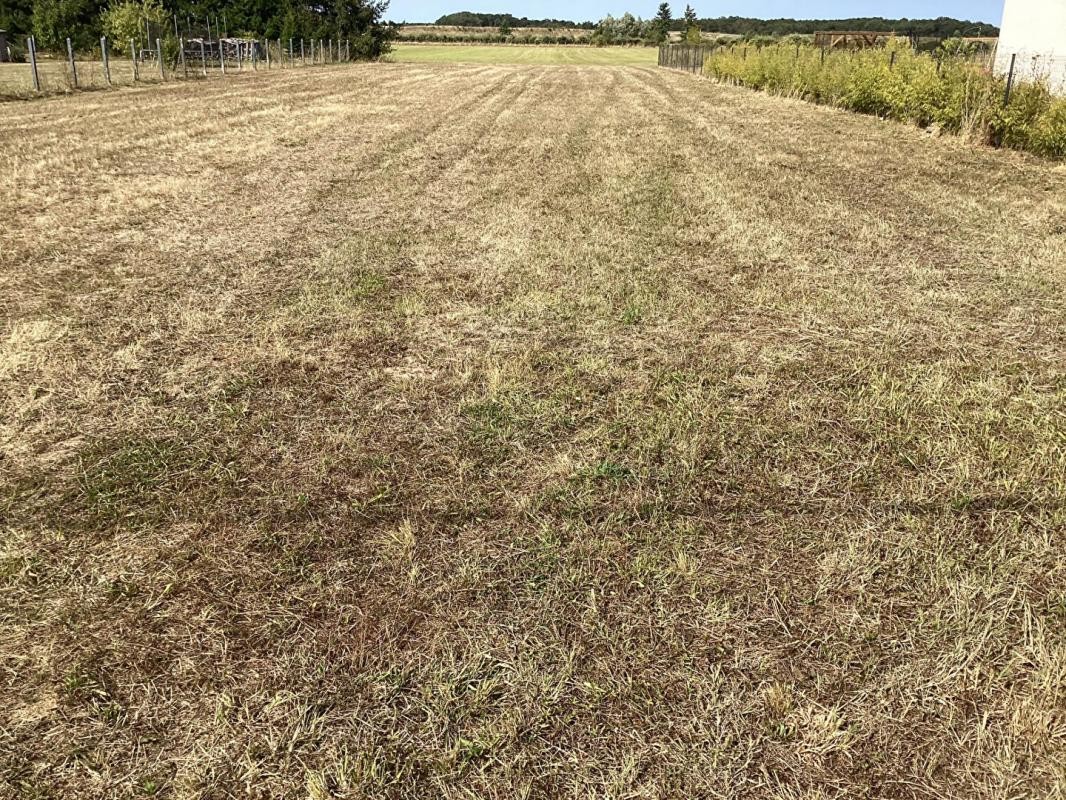 Vente Terrain à Veigné 0 pièce