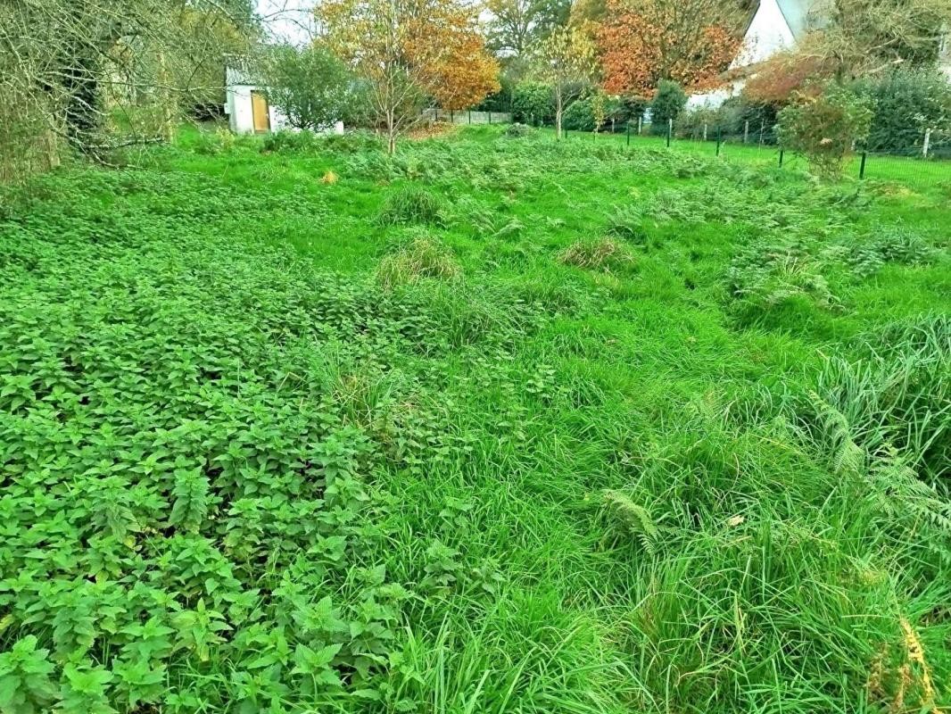 Vente Maison à Pluméliau 4 pièces