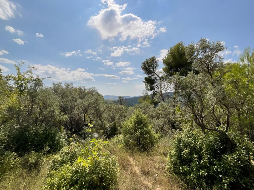 Vente Terrain à Claviers 0 pièce