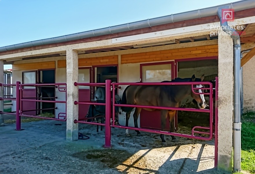 Vente Maison à Metz 8 pièces