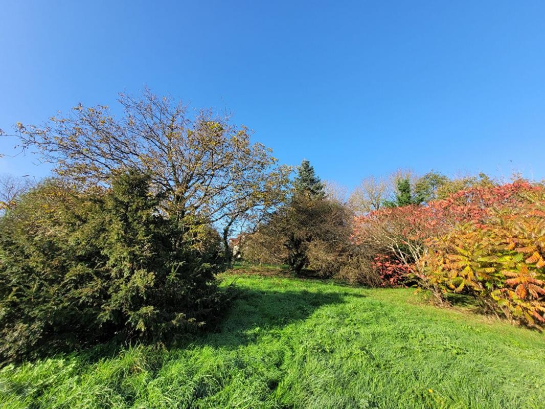 Vente Maison à Chaource 6 pièces