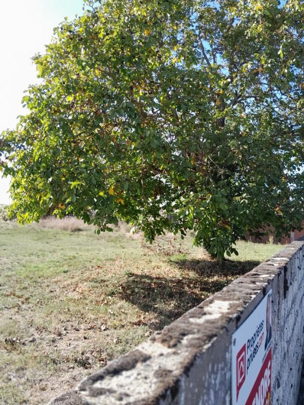 Vente Terrain à Vendeuvre-du-Poitou 0 pièce