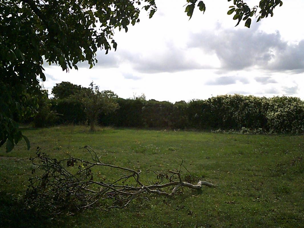 Vente Terrain à Vendeuvre-du-Poitou 0 pièce