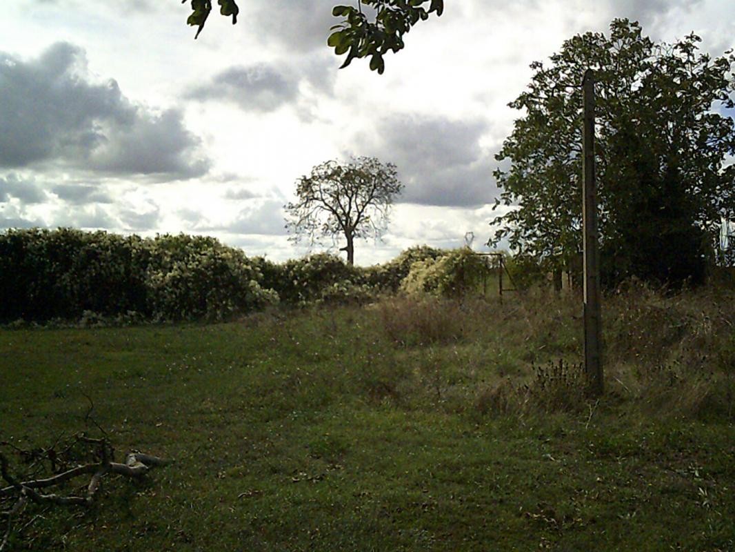 Vente Terrain à Vendeuvre-du-Poitou 0 pièce