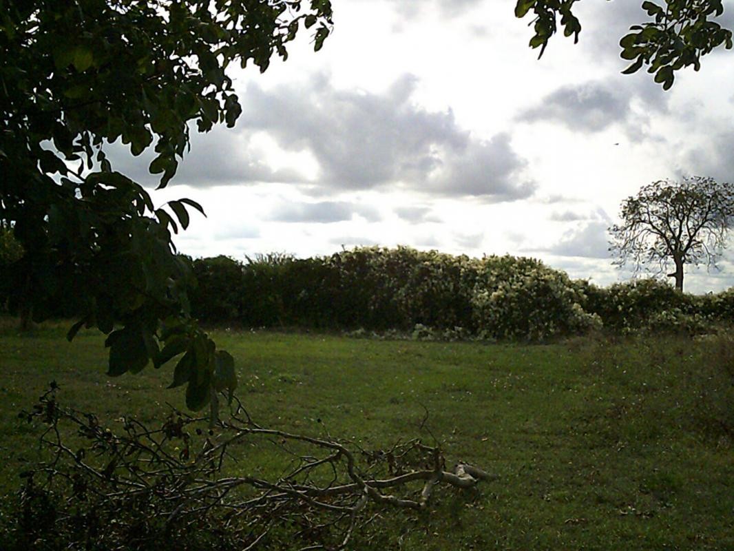 Vente Terrain à Vendeuvre-du-Poitou 0 pièce