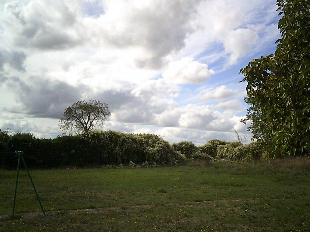 Vente Terrain à Vendeuvre-du-Poitou 0 pièce