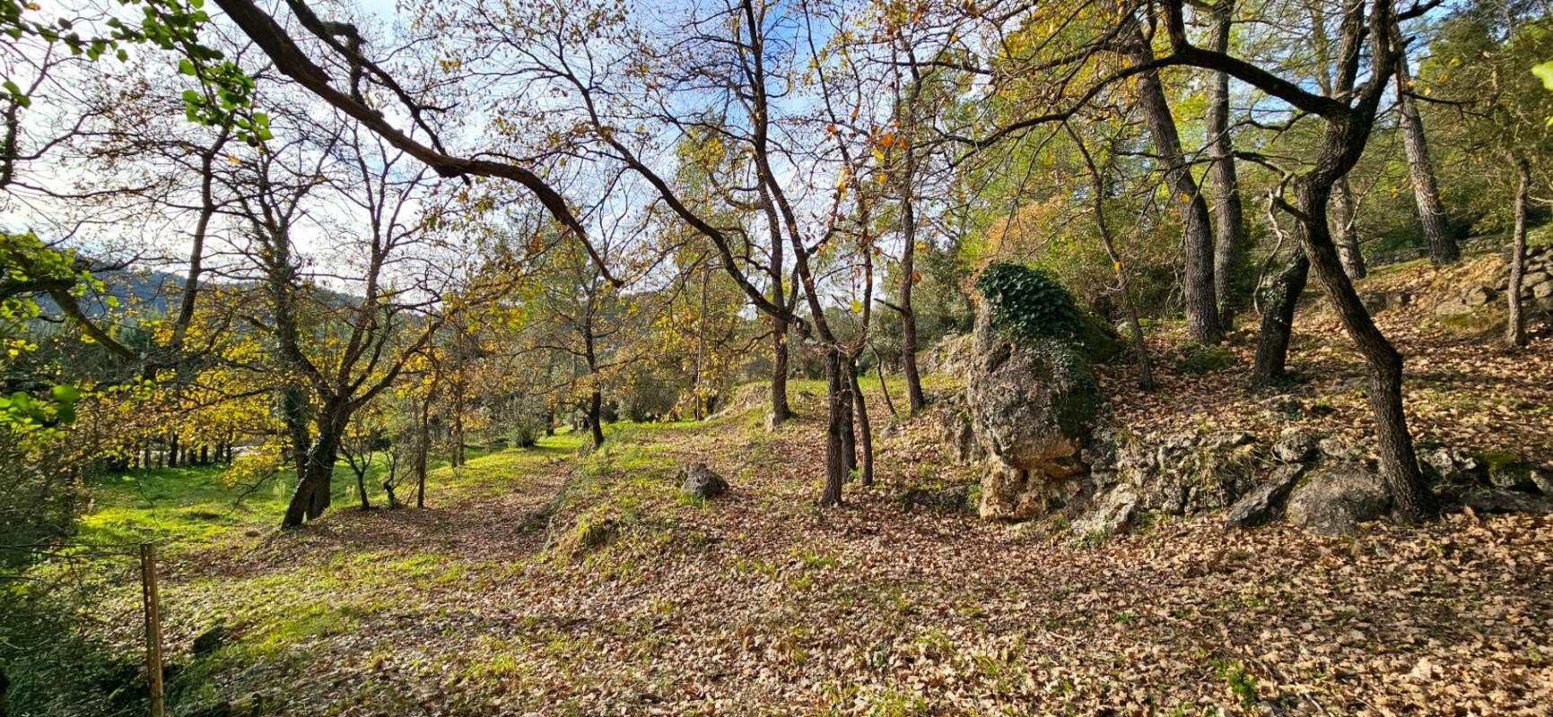 Vente Terrain à Claviers 0 pièce