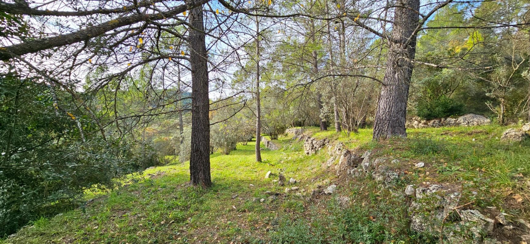 Vente Terrain à Claviers 0 pièce