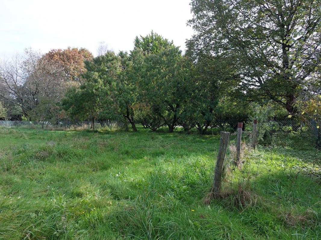 Vente Terrain à Questembert 0 pièce