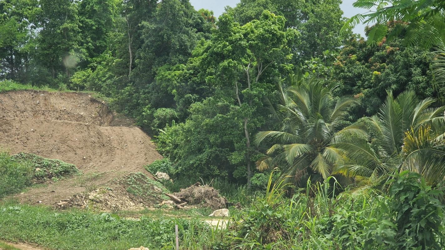 Vente Terrain à les Abymes 0 pièce