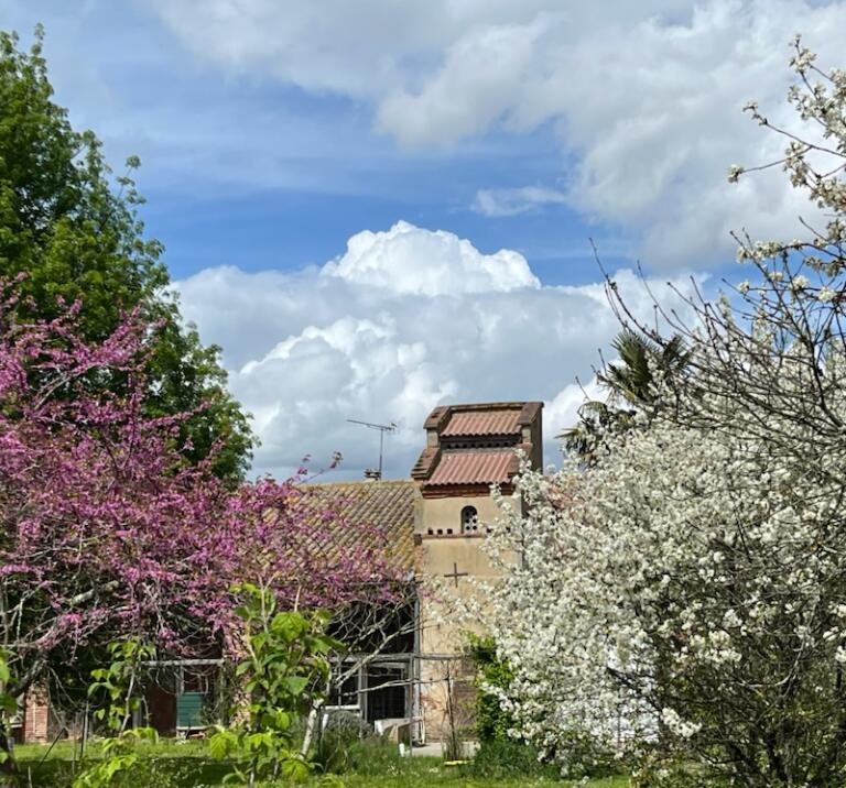 Vente Maison à Montbartier 4 pièces