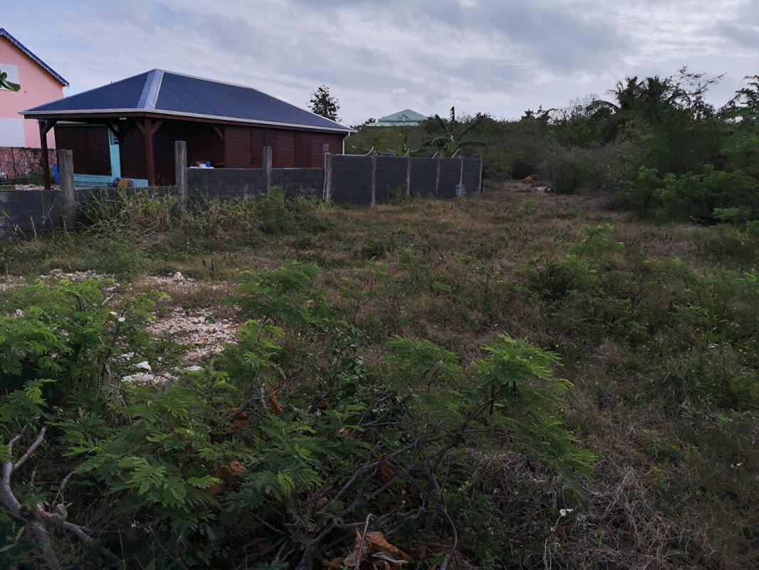 Vente Terrain à Anse-Bertrand 0 pièce