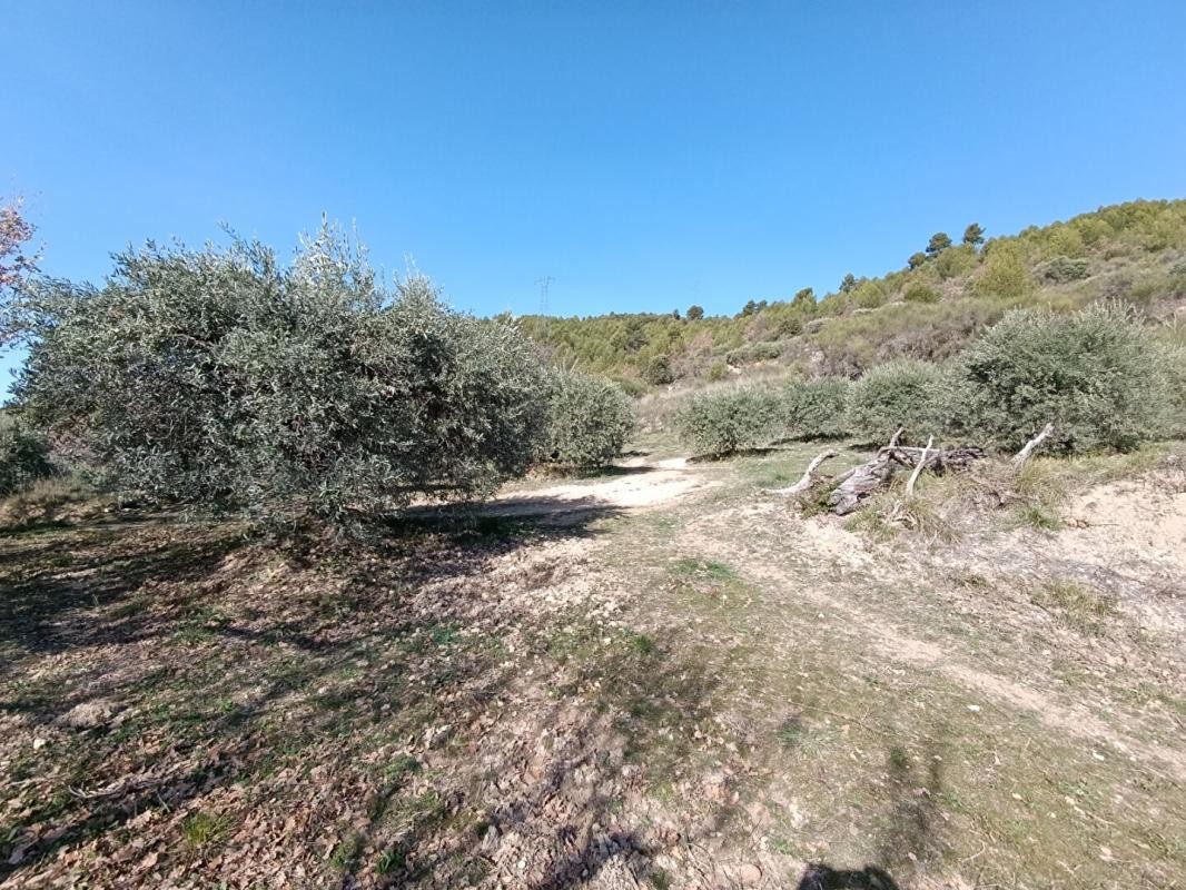 Vente Terrain à Manosque 0 pièce