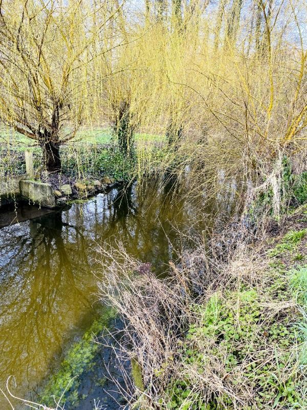 Vente Terrain à Romilly-sur-Seine 0 pièce