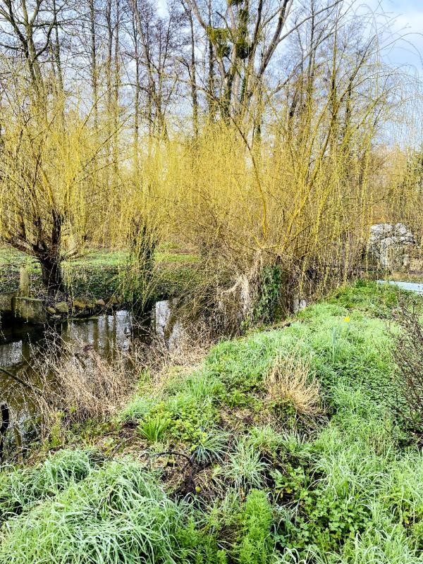 Vente Terrain à Romilly-sur-Seine 0 pièce