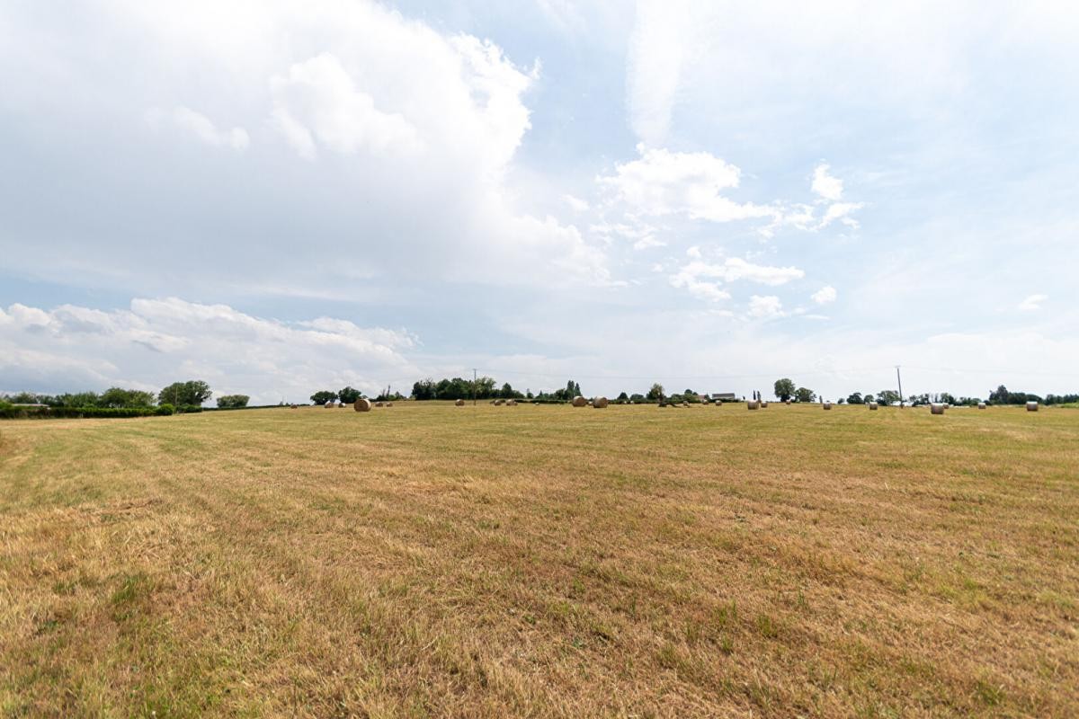 Vente Terrain à Magny-Cours 0 pièce