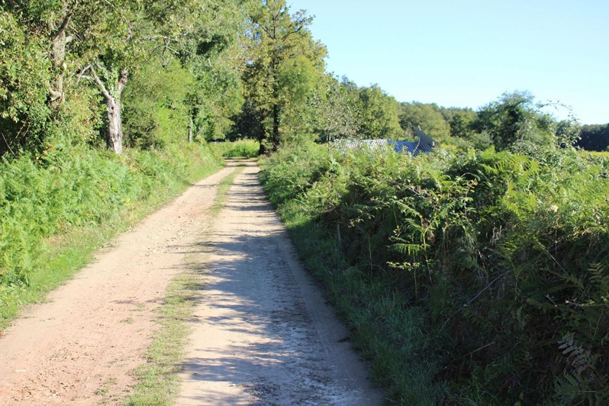 Vente Terrain à Chassenon 0 pièce