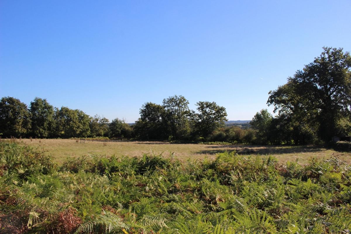 Vente Terrain à Chassenon 0 pièce