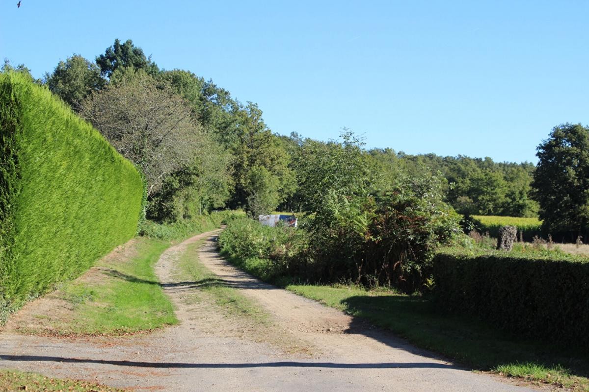 Vente Terrain à Chassenon 0 pièce