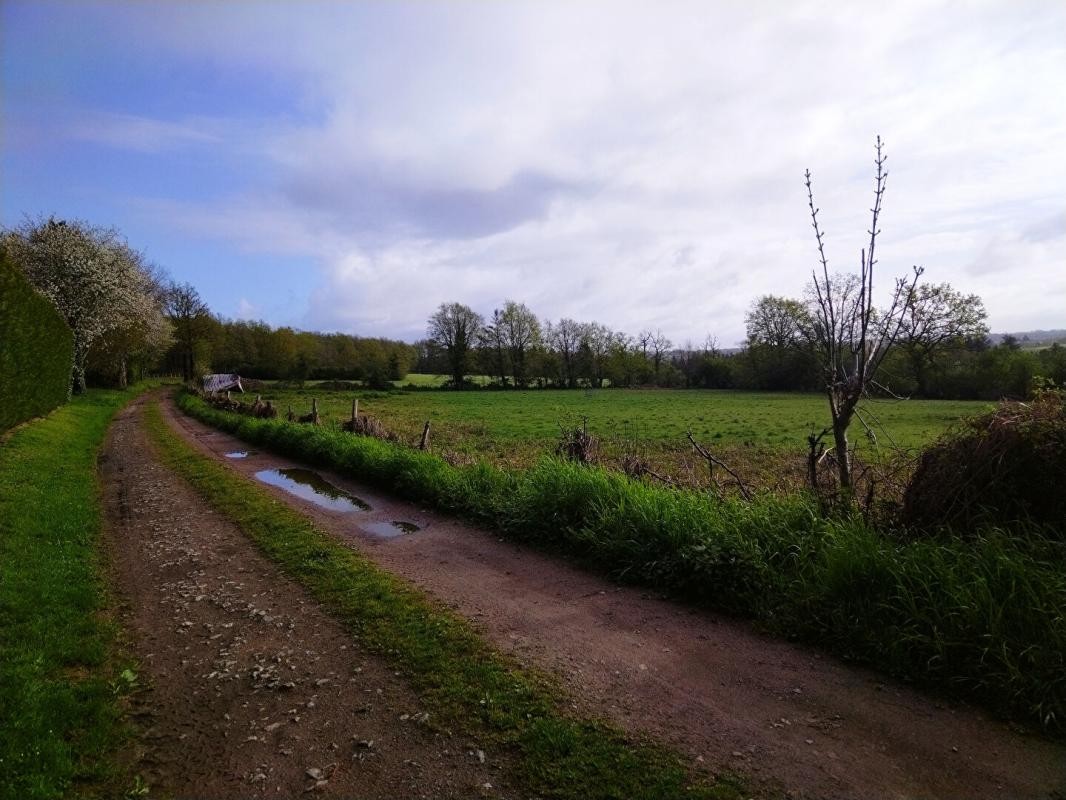 Vente Terrain à Chassenon 0 pièce