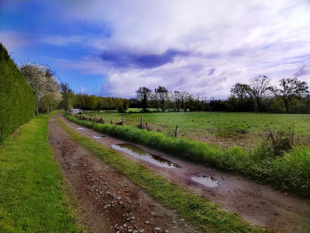 Vente Terrain à Chassenon 0 pièce