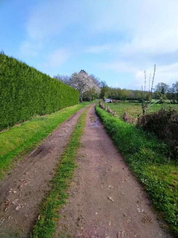 Vente Terrain à Chassenon 0 pièce