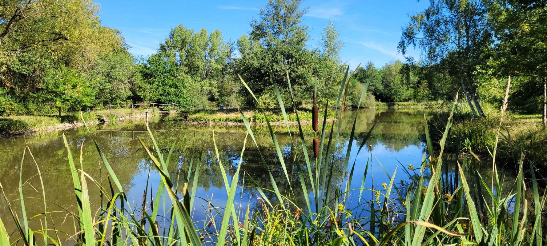 Vente Maison à Romorantin-Lanthenay 7 pièces