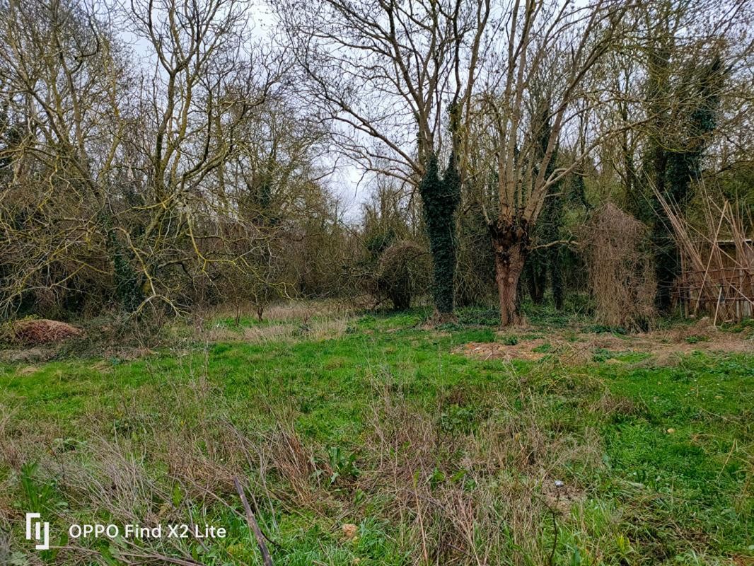 Vente Terrain à Aigrefeuille-d'Aunis 0 pièce