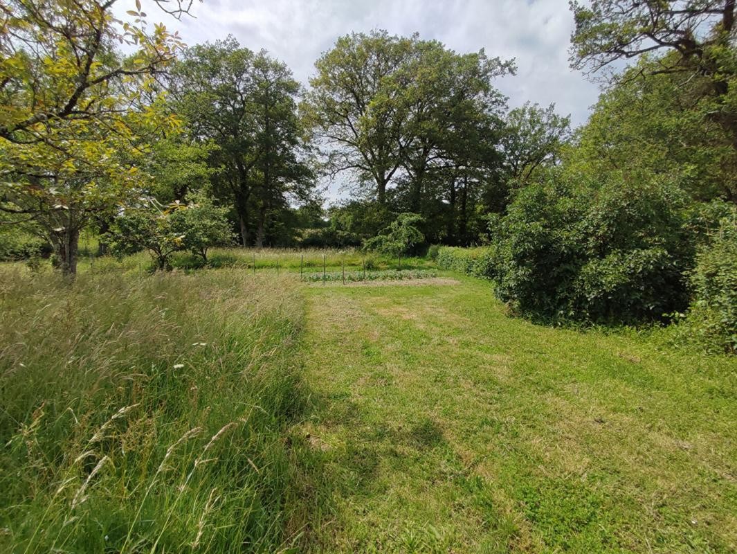 Vente Maison à Bussière-Poitevine 5 pièces