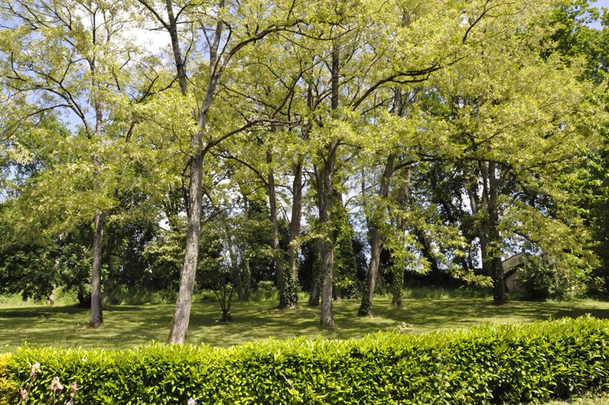 Vente Maison à Sarlat-la-Canéda 8 pièces