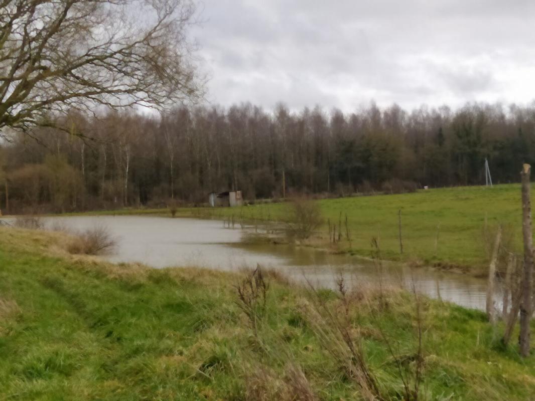 Vente Terrain à Vaiges 0 pièce