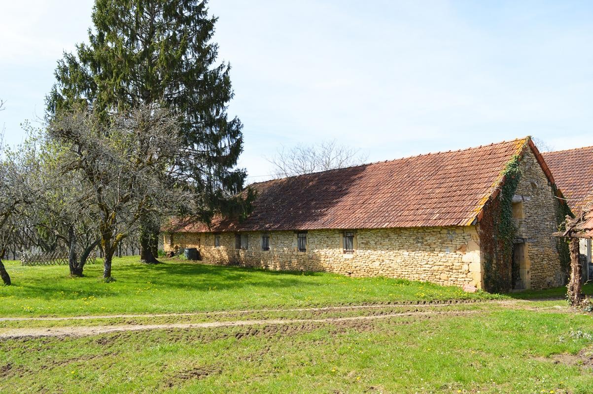 Vente Maison à Tamniès 9 pièces