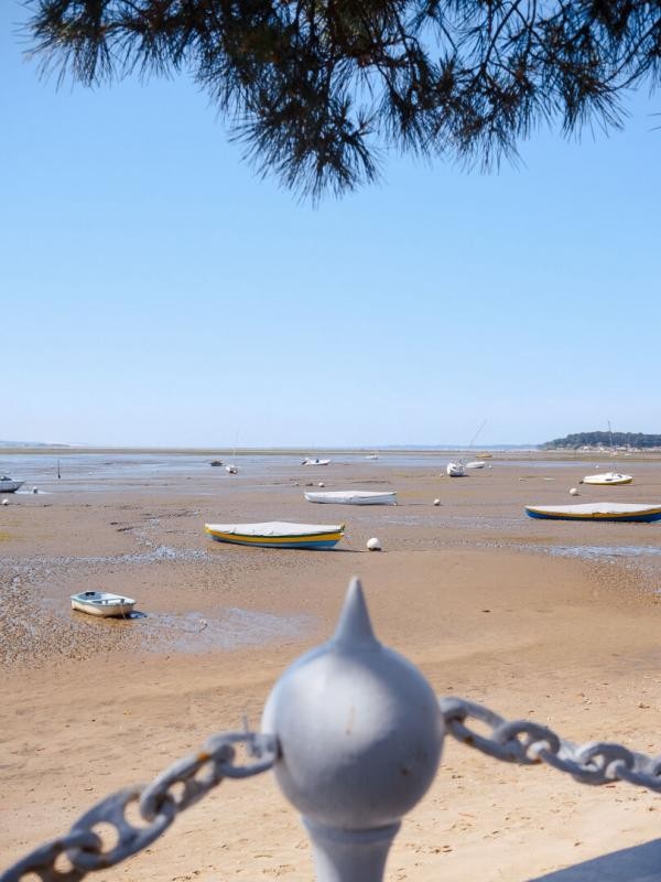 Vente Terrain à Lège-Cap-Ferret 0 pièce