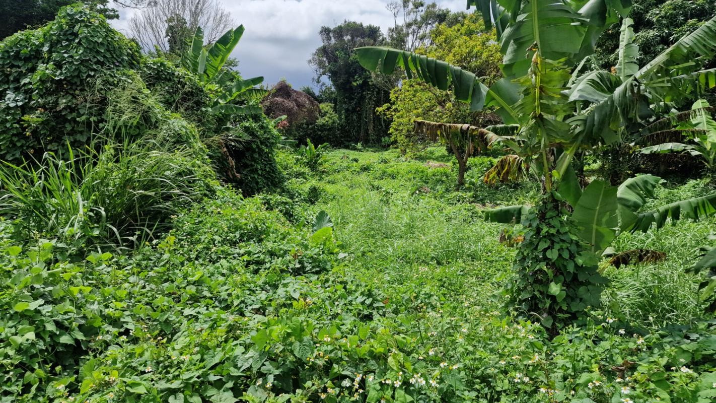 Vente Terrain à Trois-Rivières 0 pièce