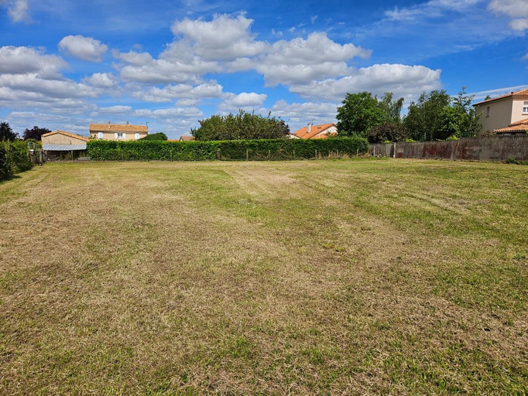 Vente Terrain à Quinçay 0 pièce