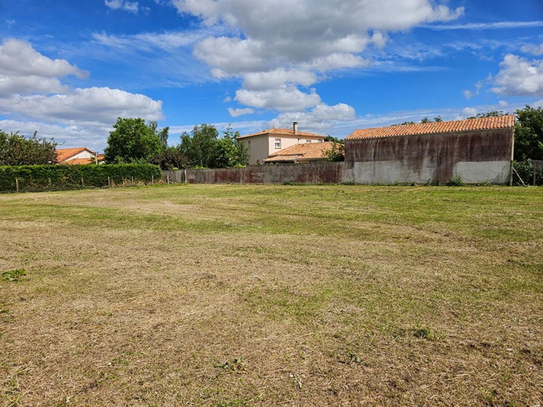 Vente Terrain à Quinçay 0 pièce