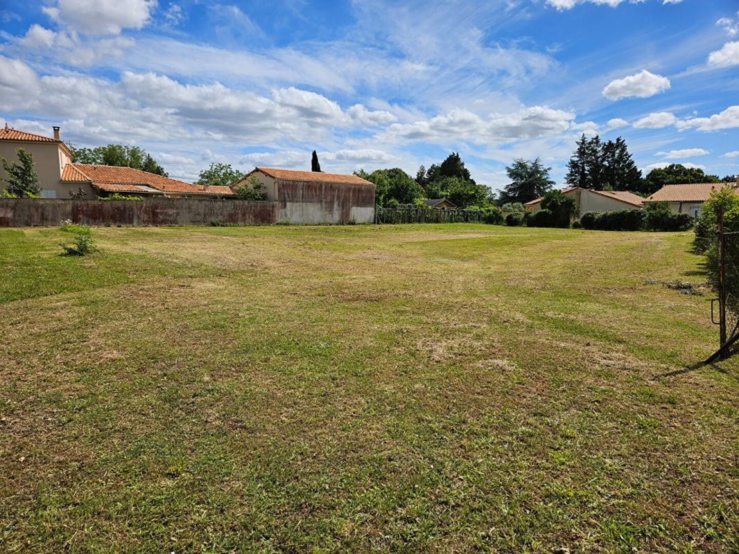 Vente Terrain à Quinçay 0 pièce