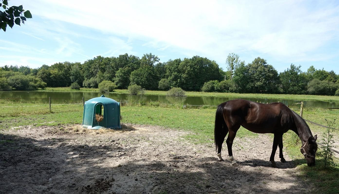 Vente Maison à Ligny-le-Ribault 5 pièces