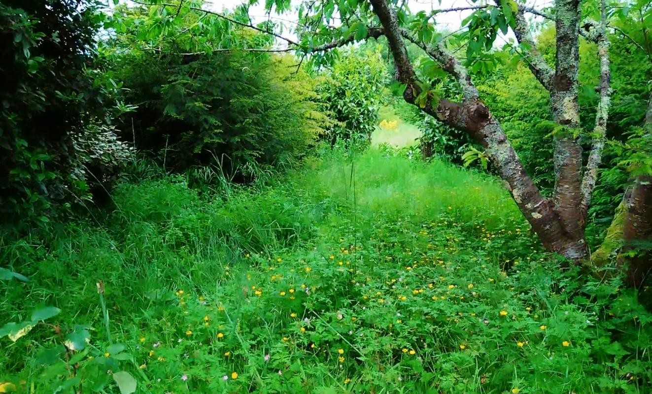 Vente Maison à Roumazières-Loubert 4 pièces