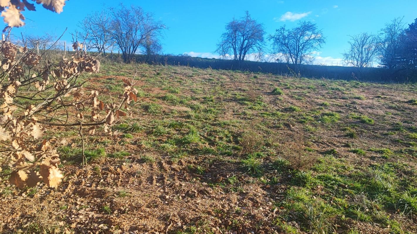 Vente Terrain à Réalmont 0 pièce