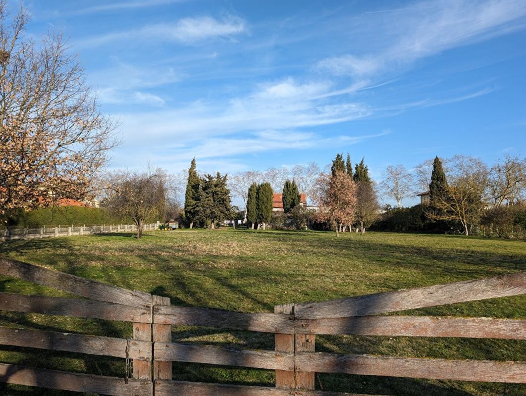 Vente Terrain à Cazères 0 pièce