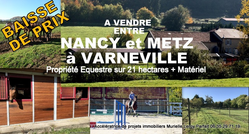 Vente Maison à Metz 8 pièces