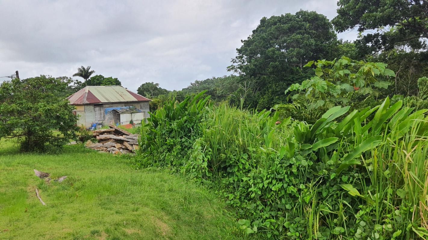 Vente Terrain à Petit-Bourg 0 pièce