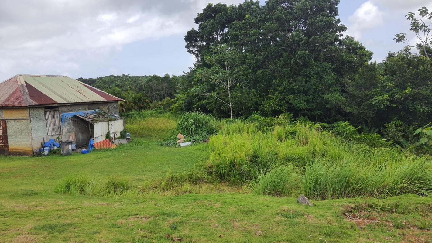 Vente Terrain à Petit-Bourg 0 pièce