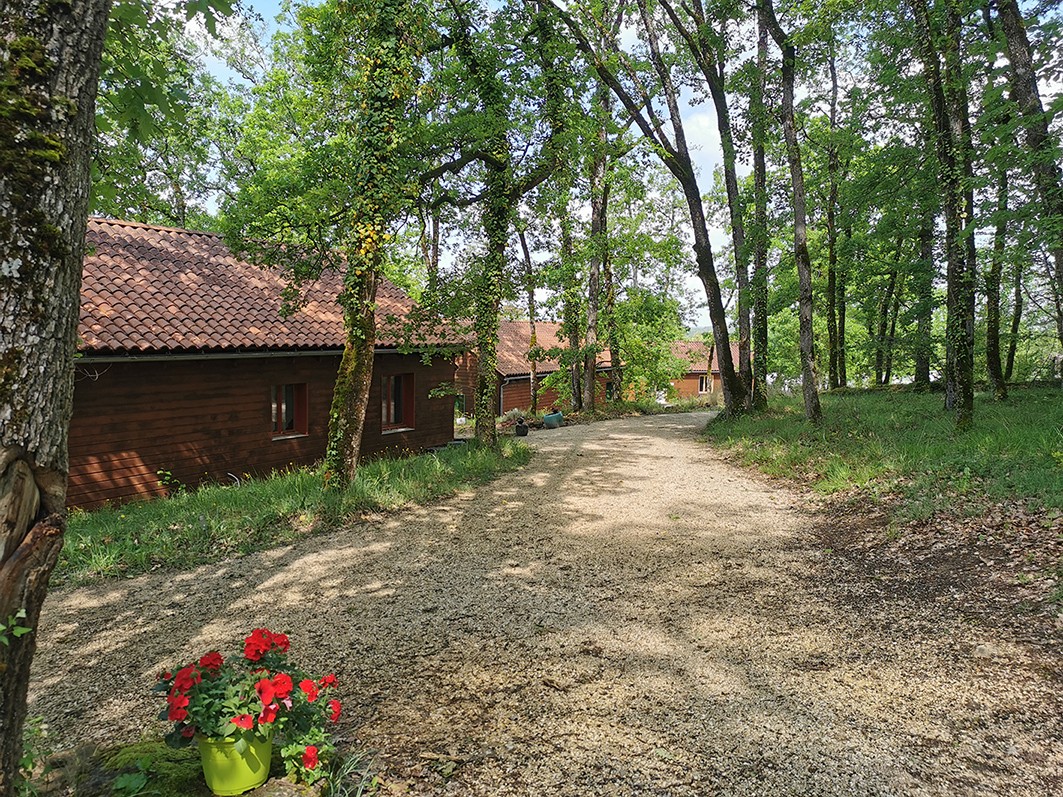 Vente Maison à Montignac 38 pièces